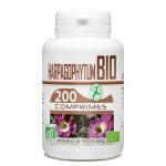 GPH Diffusion Harpagophytum Bio 200 Comprimés