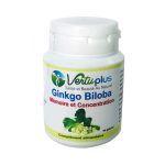 Vertu Plus Ginkgo Biloba 90 Gélules