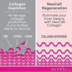 Neocell, Super collagène + Vitamin C & Biotin, 180 comprimés made in usa