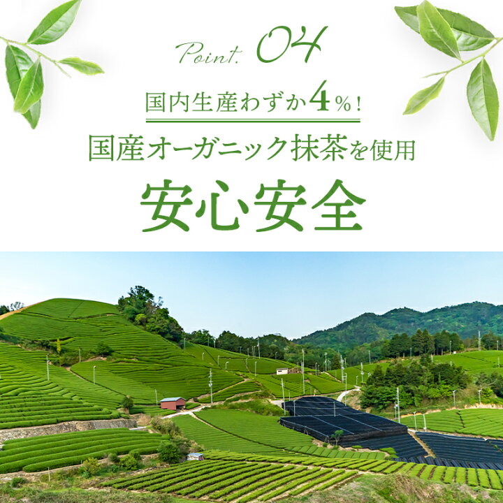 MATCHA BIO EN POUDRE DU JAPON 100 g