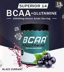Bcaa + Glutamine Powder 600gr Superior 14