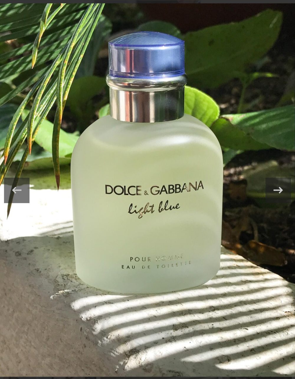DOLCE & GABBANA Light Blue Pour Homme Eau de Toilette 125ml