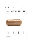 CALIFORNIA GOLD NUTRITION BEE PROPOLIS 2X 500mg 240 capsules