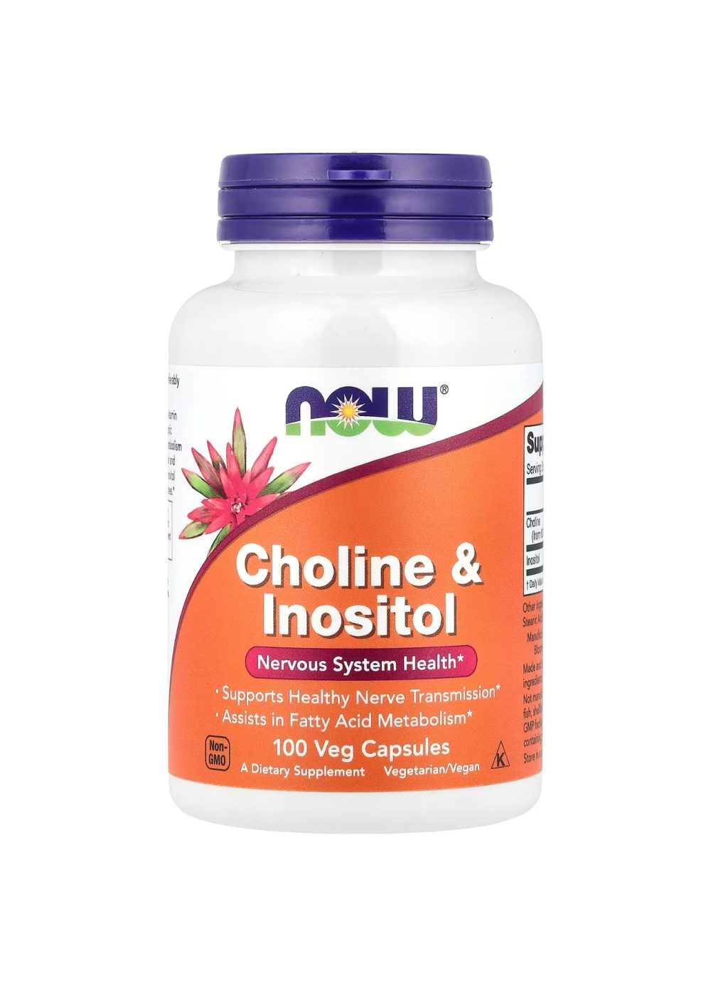 NOW FOODS Choline&Inositol santé du système nerveux 250mg 100 capsules NOW FOODS Choline&Inositol santé du système nerveux 250mg 100 capsules
